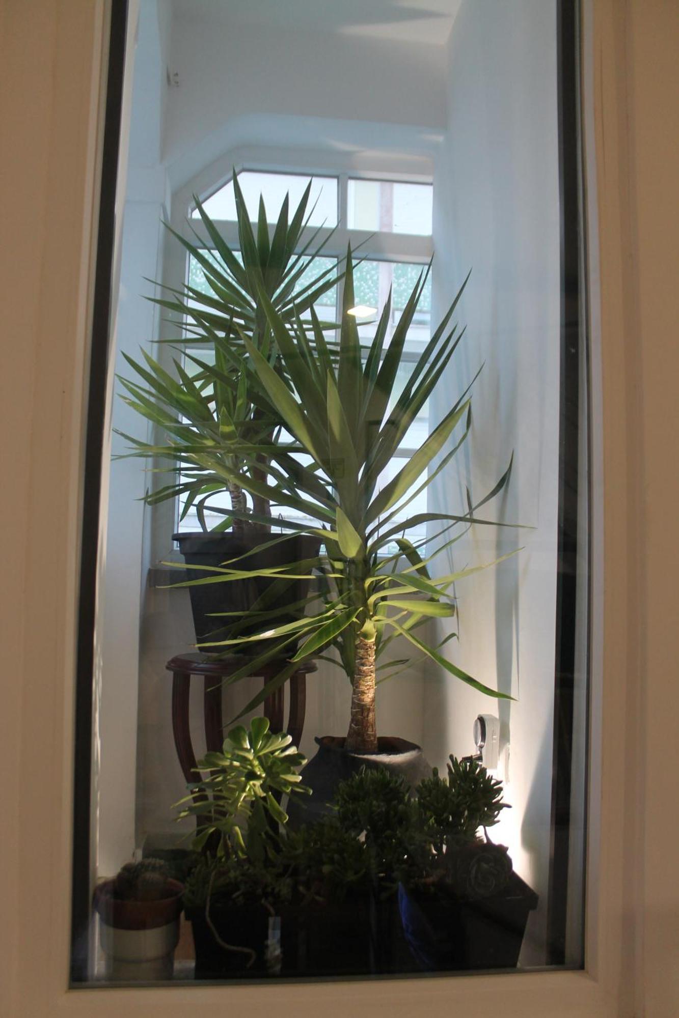 Real Guest House Costa de Caparica Buitenkant foto